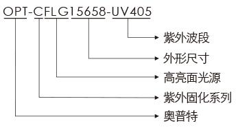 pp电子(中国游)官方网站